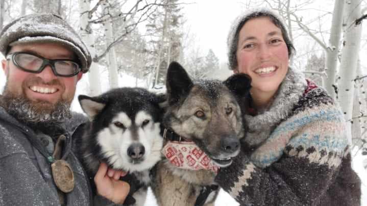 Dog sledding in the mountains of Utah